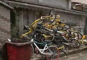 共享自行车爆料新闻报道,揭秘背后真相与困境 第3张 共享自行车爆料新闻报道,揭秘背后真相与困境 第3张