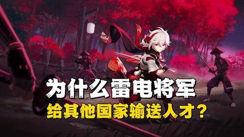雷电将军爆料解析视频大全  第3张
